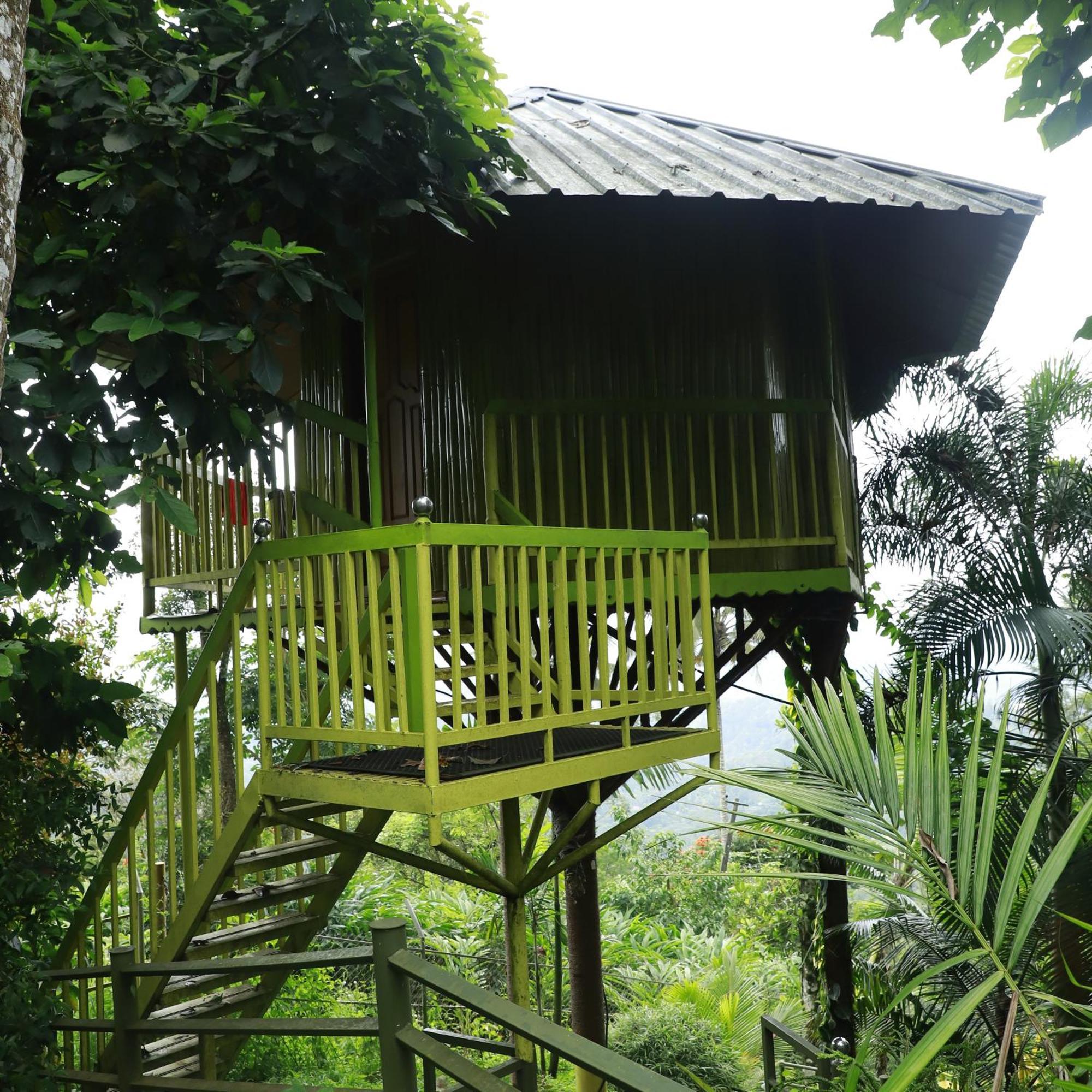 Nature Villa Anachal Exteriör bild